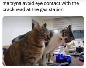 Stupid Bar Memes abd8f80f54a9b0ac