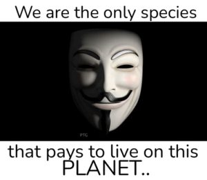Stupid Bar Memes aece93edcf70c6b4