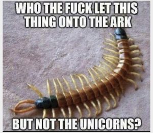Stupid Bar Memes af316433ff6d84b2