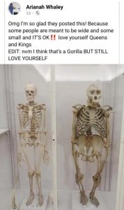Stupid Bar Memes b39bb40cca49eb2c