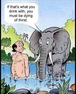 Stupid Bar Memes b4aa96b961f7f2f5