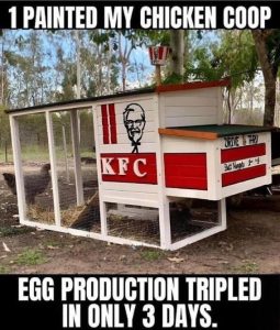 Stupid Bar Memes b5547ce21acf15f1