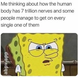 Stupid Bar Memes b57c92a30336fc93