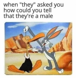Stupid Bar Memes b5e5e26183a56647