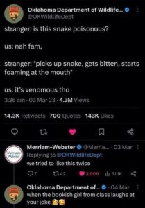 Stupid Bar Memes b67b9d7b9d431a79