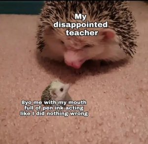 Stupid Bar Memes bG58R35