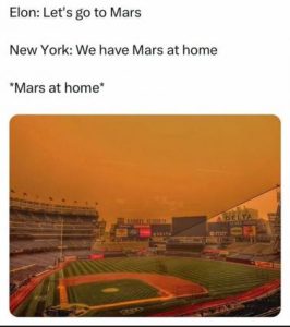Stupid Bar Memes bdab3d99571ce592