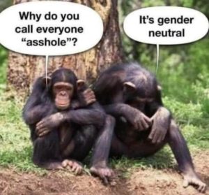 Stupid Bar Memes be7f8ca949844cb4