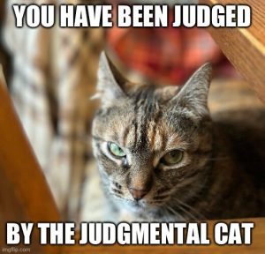 Stupid Bar Memes c1c08abcf73dcf6c