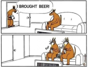 Stupid Bar Memes c704daa0d36f0c73