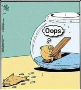 Stupid Bar Memes c95b5f7441adad56