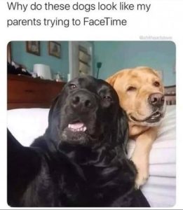 Stupid Bar Memes cb8b366eba6b9a92