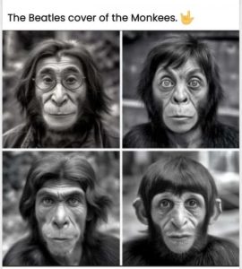 Stupid Bar Memes cc893460dcf7897e