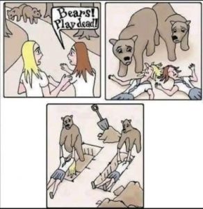 Stupid Bar Memes cd70a8b9de2fb0e6