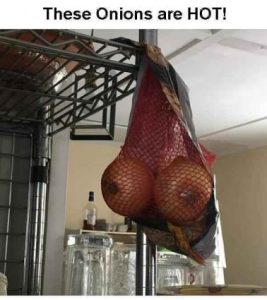Stupid Bar Memes ce740fd6192876f5