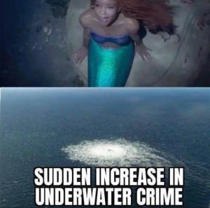 Stupid Bar Memes cea03e909a93d80d
