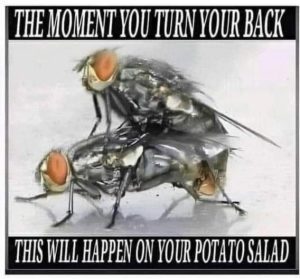 Stupid Bar Memes cedcc2c0b62b860c
