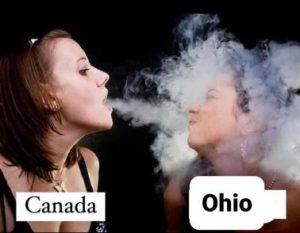 Stupid Bar Memes cee6d3bd9e303a3b
