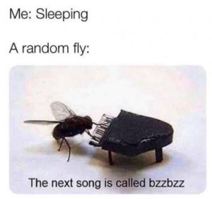 Stupid Bar Memes d0b9b32f541209ae