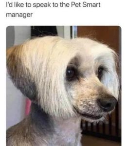 Stupid Bar Memes d3fd15f73f24669c