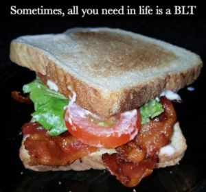 Stupid Bar Memes d4185bdb494c47f5