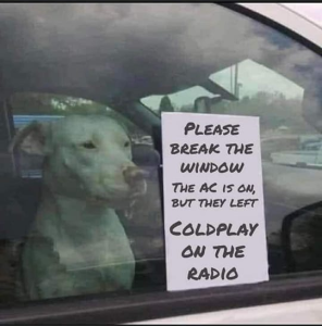 Stupid Bar Memes d5dedba2d9775e88 e1685839679404
