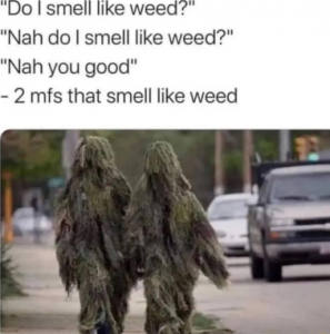 Stupid Bar Memes d639609212b31551