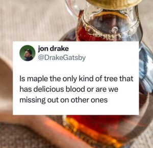Stupid Bar Memes dEdh3Jx