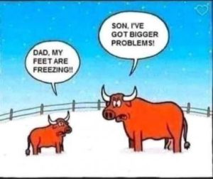 Stupid Bar Memes dbb0f77c72a6d84c