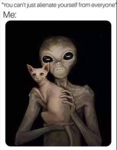 Stupid Bar Memes de7b2e16274b5bde