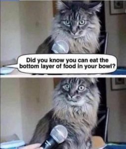 Stupid Bar Memes e3d1c96ff9abb511