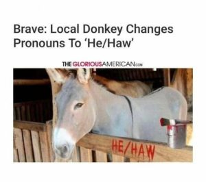 Stupid Bar Memes e46f7393f2b3434c