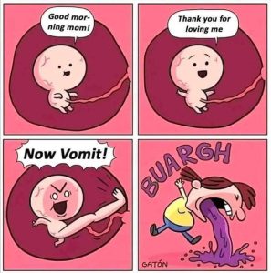Stupid Bar Memes eee95572935a961c