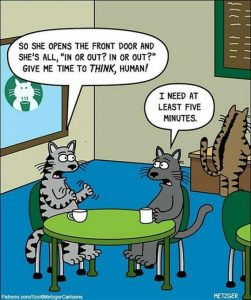 Stupid Bar Memes f06960cdad09cb53