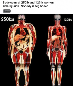 Stupid Bar Memes f07804dbd9ac9177