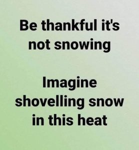 Stupid Bar Memes f1e7452039f6d729