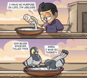 Stupid Bar Memes f1f28856b69d7fe7