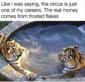 Stupid Bar Memes f35beea7c2b9794c