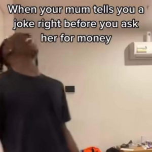 Stupid Bar Memes f3d29f54f8b02548