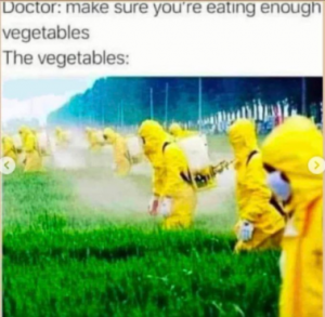 Stupid Bar Memes f3d3932c051a6168