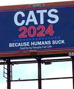 Stupid Bar Memes f500ddbeb078badc146c51d745c8a35d