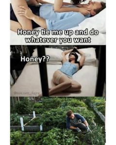 Stupid Bar Memes f7a967483b7ac627