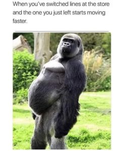 Stupid Bar Memes fb69848719e15c6e