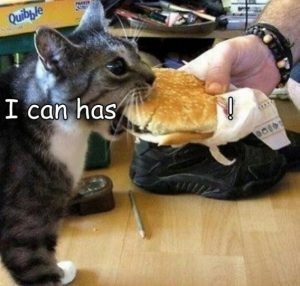 Stupid Bar Memes ff95d9c82748e9b6