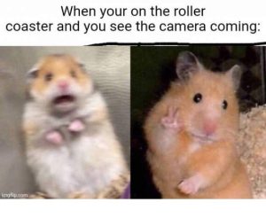 Stupid Bar Memes funnyspicss640s01