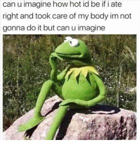 Stupid Bar Memes funnyspicss640s28