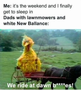 Stupid Bar Memes funnyspicss640shighs01