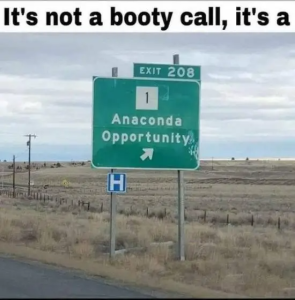 Stupid Bar Memes funnyspicss640shighs11s1s1