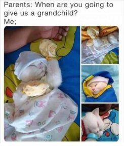 Stupid Bar Memes funnyspicss640shighs42