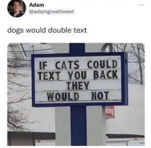 Stupid Bar Memes funnystweetss5s1